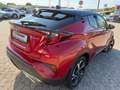 Toyota C-HR Hybrid Team D **STYLE** Rot - thumbnail 14