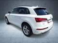 Audi Q5 S line 40 TDI qu S tr AHK/Nav/PBox/ACC/Assist Bianco - thumbnail 6