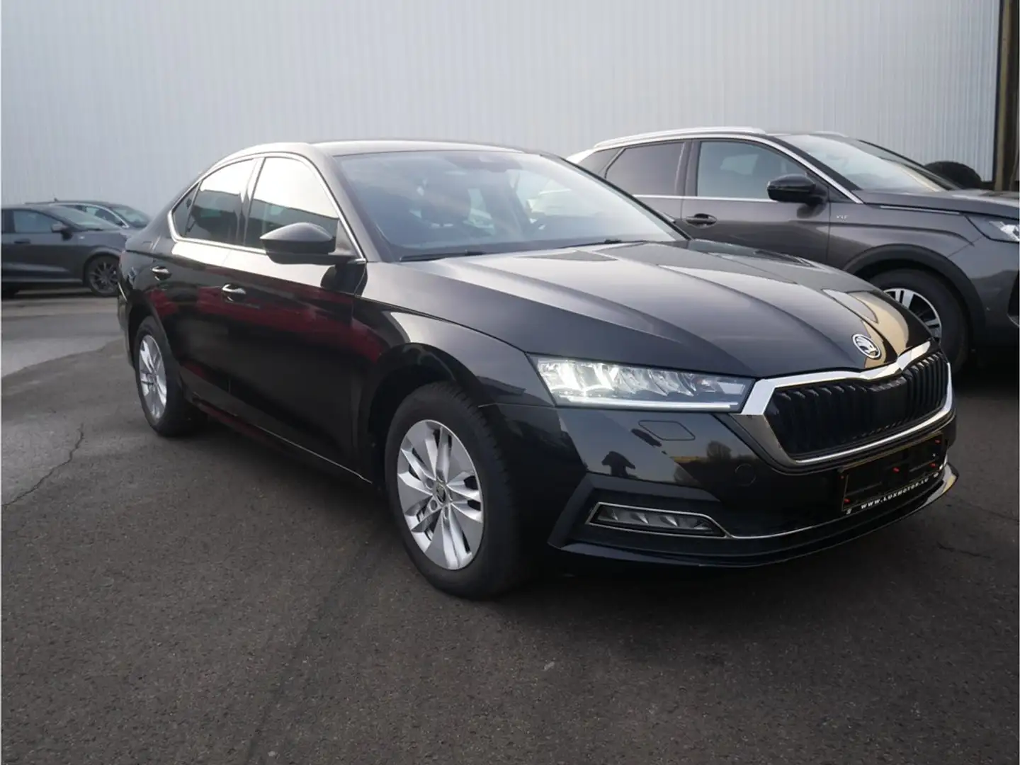 Skoda Octavia 2.0TDI Ambition M6 115CV Noir - 2