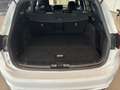 Ford Focus Kombi ST-Line X 120PS Diesel/EcoBlue Automatik ... Blanc - thumbnail 9