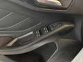 Ford Focus Kombi ST-Line X 120PS Diesel/EcoBlue Automatik ... Weiß - thumbnail 12
