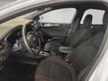 Ford Focus Kombi ST-Line X 120PS Diesel/EcoBlue Automatik ... Blanc - thumbnail 11