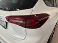 Ford Focus Kombi ST-Line X 120PS Diesel/EcoBlue Automatik ... Weiß - thumbnail 10