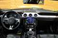 Ford Mustang 5.0 Ti-VCT V8  GT Bullit(Fastsb.) Verde - thumbnail 4