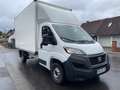 Fiat Ducato Koffer 2.2TDI+46tkm+KLIMA+AHK+Tempomat Weiß - thumbnail 2
