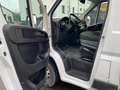 Fiat Ducato Koffer 2.2TDI+46tkm+KLIMA+AHK+Tempomat Weiß - thumbnail 11