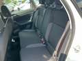 Volkswagen Polo 1.0 TSI Life *LED App-Connect Kamera DAB+* Weiß - thumbnail 13