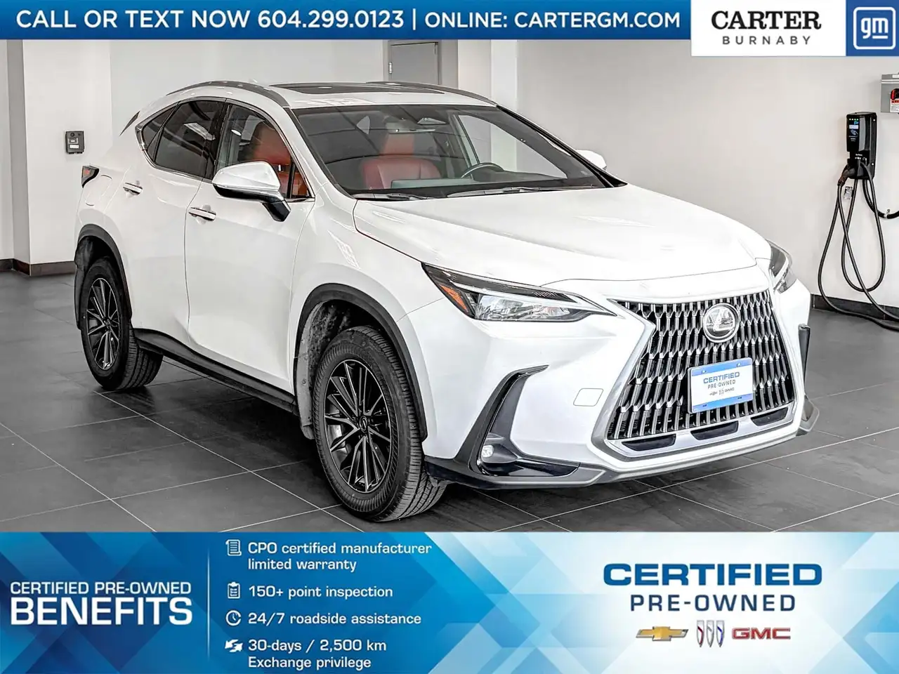 2025 Lexus NX
