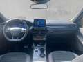 Ford Kuga Plug-In Hybrid ST-Line X Negro - thumbnail 11