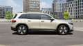 Mercedes-Benz EQB 250 Business Line 7persoons 67 kWh | Stoelverwarming | Grijs - thumbnail 3