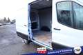 Ford Transit Trend L2H2 #Checkheft #Klima #3-Sitzer #Kamera ... Weiß - thumbnail 23