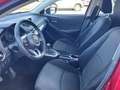 Mazda 2 Mazda 2 Challenge Rot - thumbnail 6