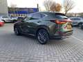 Lexus NX 450h+ AWD Executive Line TREKHAAK TRIPLE-LED STOELVENT M Vert - thumbnail 5