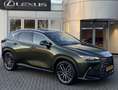 Lexus NX 450h+ AWD Executive Line TREKHAAK TRIPLE-LED STOELVENT M Vert - thumbnail 1