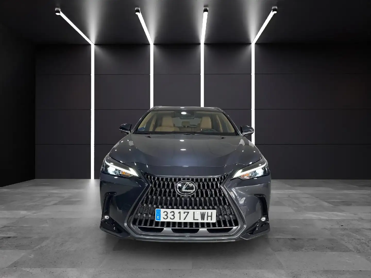 Lexus NX 300h 450h+ Executive 4WD Gris - 2