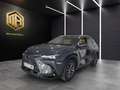 Lexus NX 300h 450h+ Executive 4WD Gris - thumbnail 1