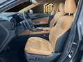 Lexus NX 300h 450h+ Executive 4WD Gris - thumbnail 17