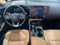 Lexus NX 300h 450h+ Executive 4WD Gris - thumbnail 24