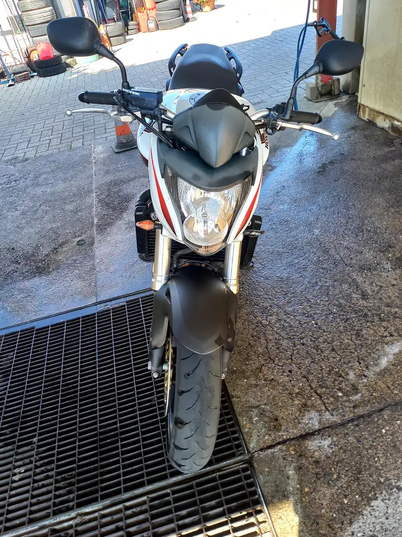 Honda Hornet hornet cb 600 Bianco - 1