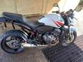 Honda Hornet hornet cb 600 Bianco - thumbnail 3