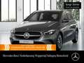 Mercedes-Benz B 250 4M PROGRESSIVE+360°+MULTIBEAM+BURMESTER+8G Grau - thumbnail 1