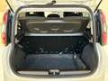 Fiat Panda 1.0 FireFly 70cv S&S Hybrid Cross Bianco - thumbnail 11