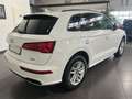 Audi Q5 50 TFSI e quattro Automatik *Navi*Leder*HUD* Weiß - thumbnail 7
