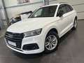 Audi Q5 50 TFSI e quattro Automatik *Navi*Leder*HUD* Weiß - thumbnail 1