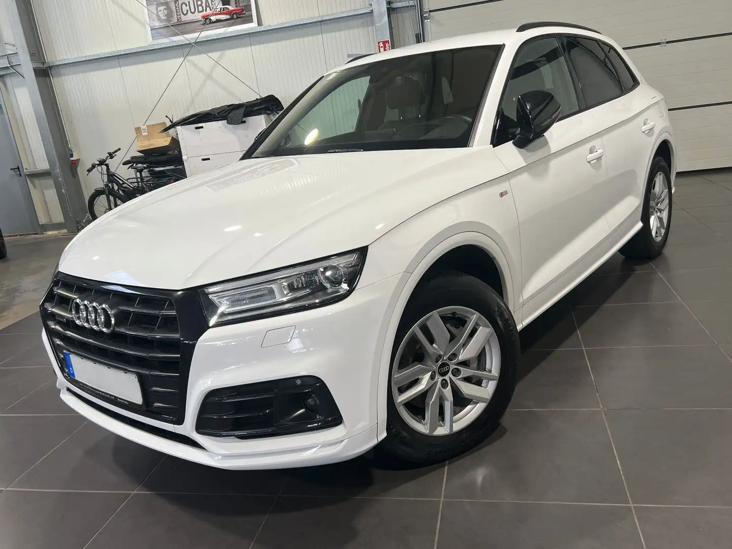 Audi Q5 50 TFSI e quattro Automatik *Navi*Leder*HUD* Weiß - 1