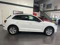 Audi Q5 50 TFSI e quattro Automatik *Navi*Leder*HUD* Weiß - thumbnail 6