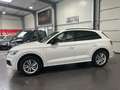 Audi Q5 50 TFSI e quattro Automatik *Navi*Leder*HUD* Weiß - thumbnail 3