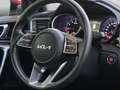 Kia Ceed / cee'd Ceed 1,5 AUTOMATIK PANO SPUR ABSTAN KIA-GARANTIE Rot - thumbnail 19
