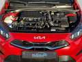 Kia Ceed / cee'd Ceed 1,5 AUTOMATIK PANO SPUR ABSTAN KIA-GARANTIE Rot - thumbnail 31