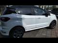 Ford EcoSport 1.0 EcoBoost 125cv ST-Line S&S Bianco - thumbnail 3