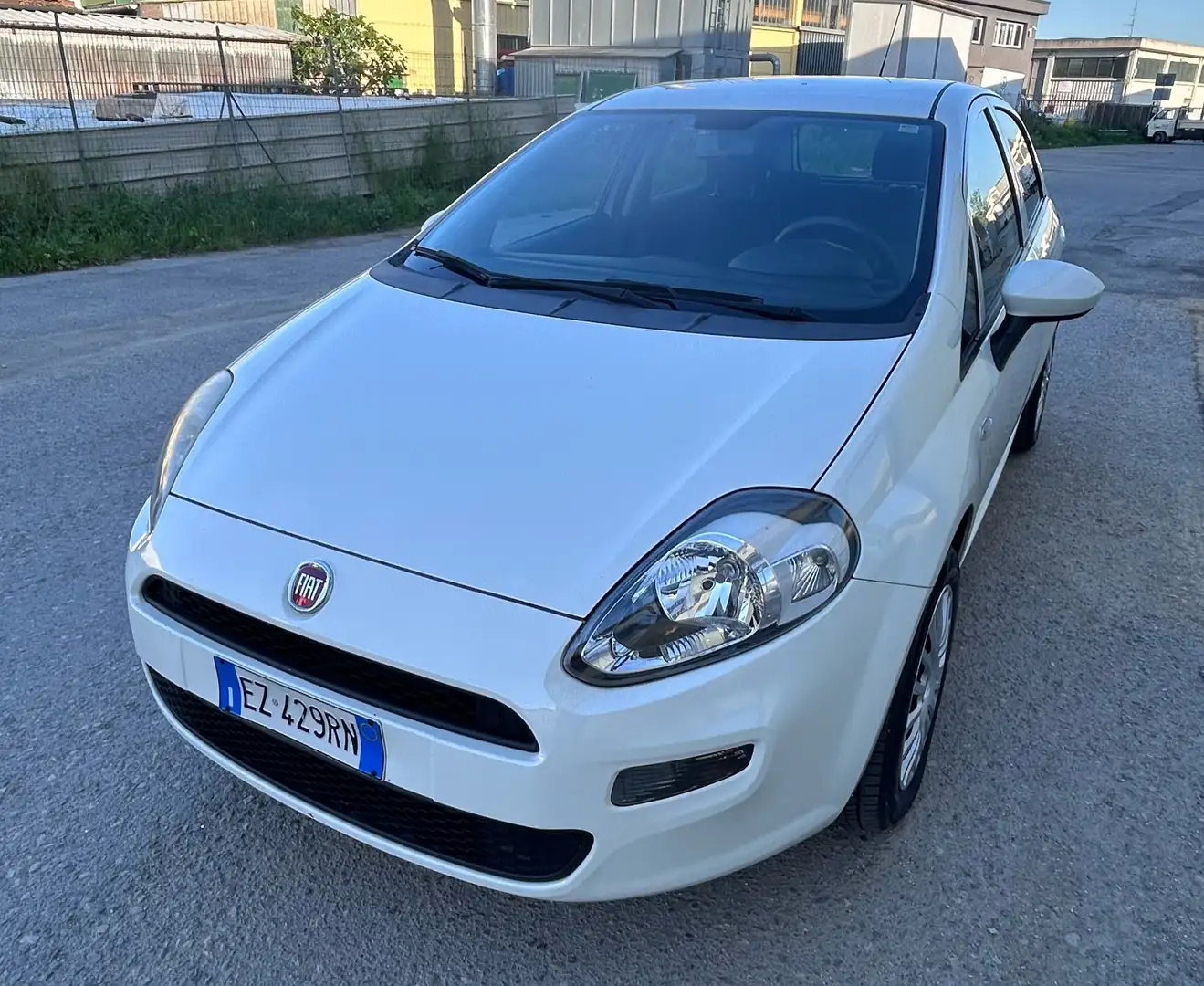 Fiat Punto Punto Street 5p - 105cv Bianco - 1