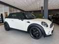 MINI Cooper Cabrio |35.160km|Xenon|S.heft|Leder Weiß - thumbnail 41