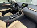 Lexus NX 300h Luxury Line SHZ HUD SITZBELÜFTUNG LED Schwarz - thumbnail 21