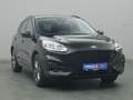 Ford Kuga ST-Line 150PS/Winter-Paket/PDC/Klima Schwarz - thumbnail 36