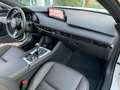Mazda 3 5p 2.0 m-hybrid Takumi + tettuccio Bianco - thumbnail 18