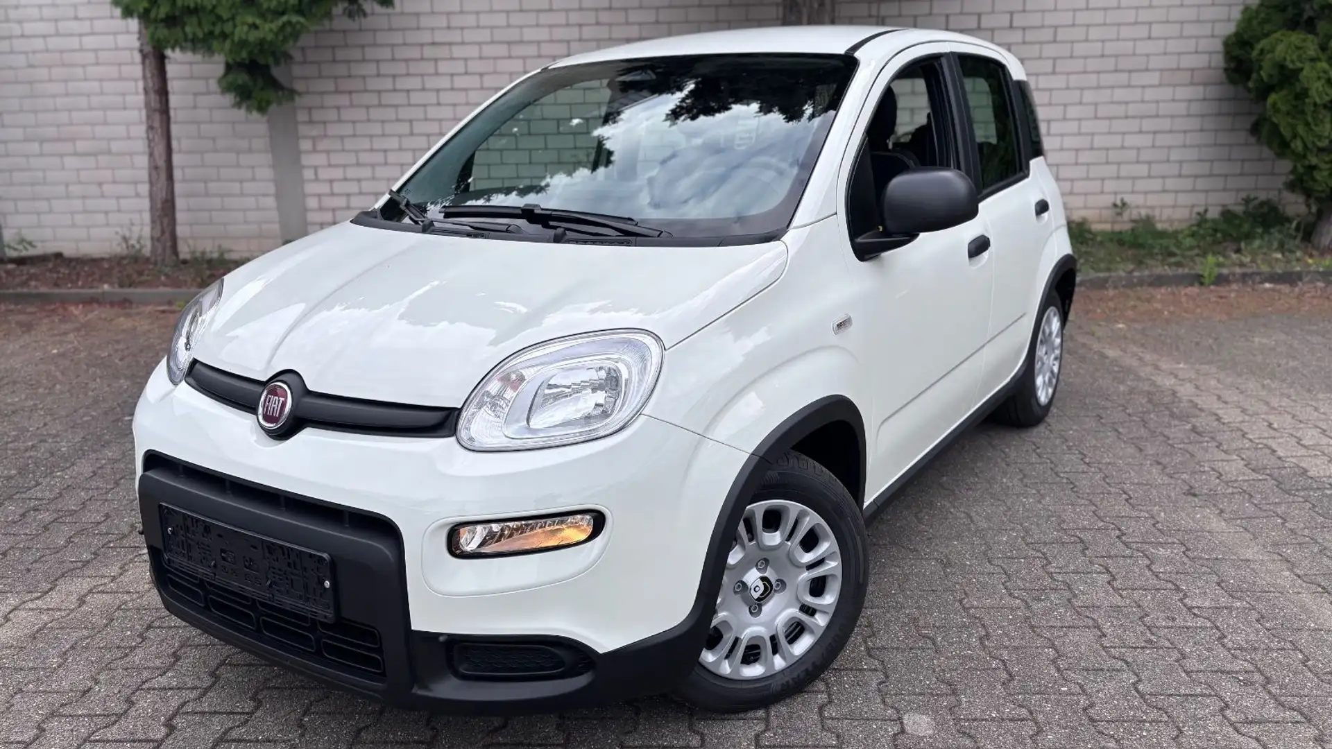 Fiat Panda Pandina Cross 1.0 Mild-Hybrid / PDC Biały - 2