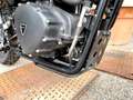 Triumph Scrambler Rumbler *8.591 Km*Special Edition* Verde - thumbnail 15