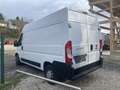 Fiat Ducato 33 L2H2 130 Weiß - thumbnail 5