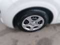 Kia Picanto PICANTO 1.0 DPI Weiß - thumbnail 6