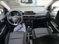 Kia Picanto PICANTO 1.0 DPI Weiß - thumbnail 14