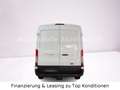 Ford Transit Kasten 350 L3H2 AHK+TEMPOMAT (6563) Blanc - thumbnail 7