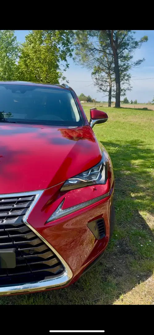 Lexus NX 300h Luxury Red - 1