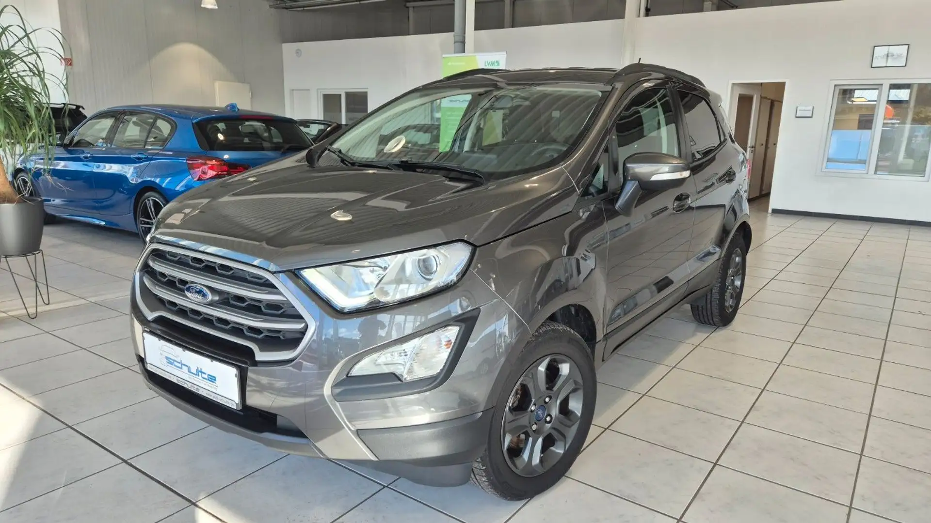 Ford EcoSport Cool & Connect Grau - 1