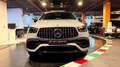 Mercedes-Benz GLE 53 AMG Mercedes-AMG Hybrid 4MATIC+ Grau - thumbnail 2