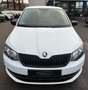 Skoda Fabia TÜV AU NEU*KLIMA*BLUETOOTH*EURO-6*Cool Edition Weiß - thumbnail 2