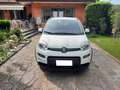 Fiat Panda Panda 1.0 hybrid City Life 5p S /S Bianco - thumbnail 1